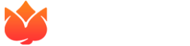 Playbro