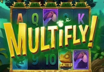 Multifly