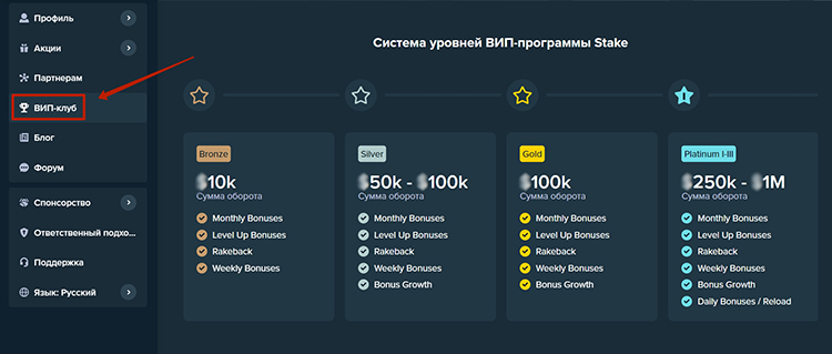 Раздел VIP клуб
