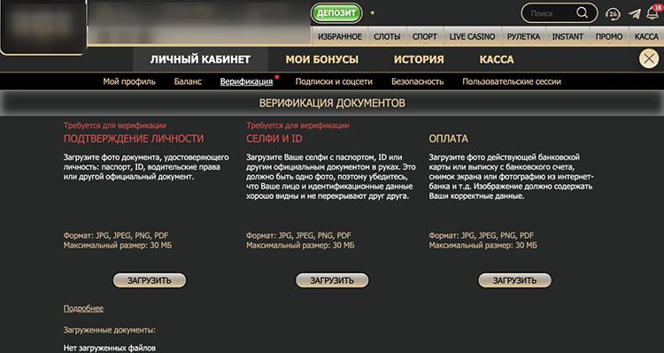 Прохождение верификации