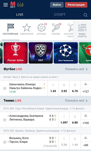 Упрощенная БК